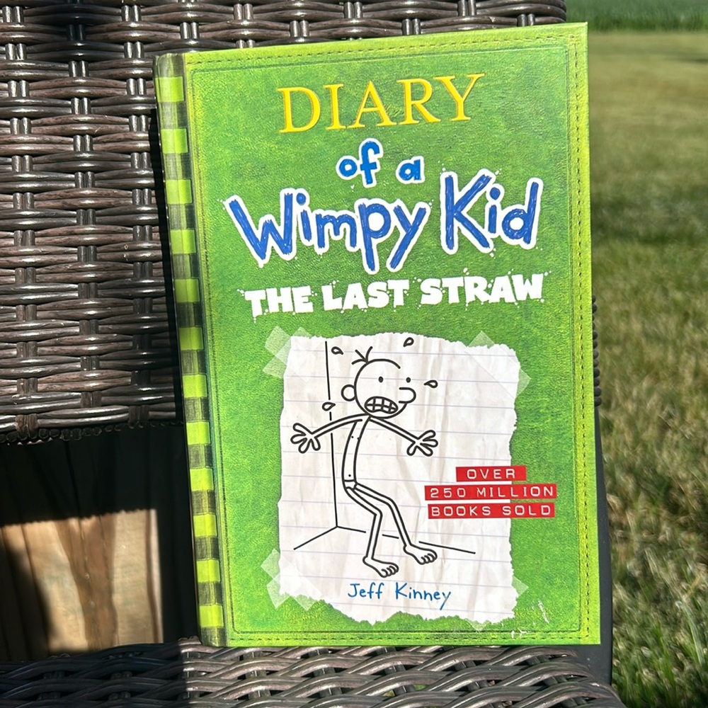 Diary of a Wimpy Kid Book 3
